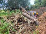 Hardhout  blokken,takken, 3 tot 6 m³, Ophalen, Overige houtsoorten, Blokken