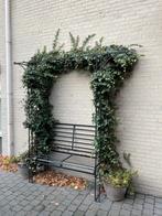 Te koop: tuinbankje met hedra, Ophalen