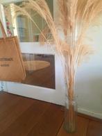 Pampas pluimen met vaas - Pampas with vase, Ophalen, Zo goed als nieuw