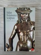 Boek Italian Renaissance Sculpture, Gelezen, Beeldhouwkunst, Ophalen of Verzenden, R.J.M. Olson