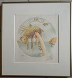 Dali’s Zodiac (dierenriem) Ingelijst., Antiek en Kunst, Kunst | Litho's en Zeefdrukken, Ophalen