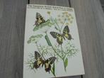 zeldzaam complete british butterflies in colour helmond uden, Boeken, Natuur, Natuur algemeen, Ophalen of Verzenden, Zo goed als nieuw
