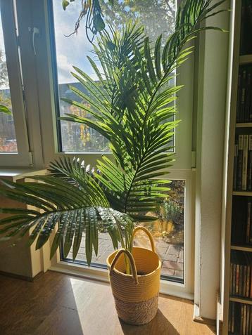 Kunstpalm 135cm met mand beschikbaar voor biedingen