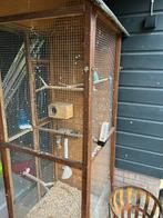 Voliere met 1 parkiet de blauwe, Ophalen, Gebruikt, Hout, Volière