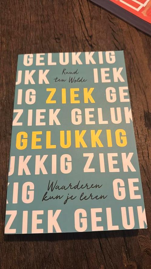 Ruud ten Wolde - Ziek gelukkig, Boeken, Psychologie, Zo goed als nieuw, Ophalen of Verzenden