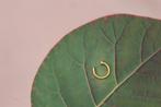 Auricular Oorbellen - Minder stress 🙏, Ophalen of Verzenden, Nieuw, Apparaat