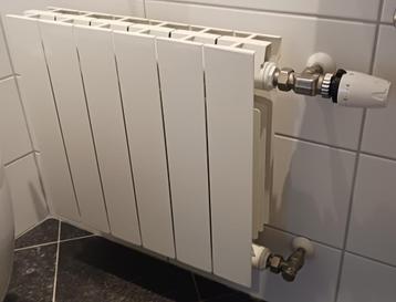 Design Radiator beschikbaar voor biedingen
