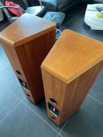 Tannoy D 500, Overige merken, Ophalen of Verzenden, Zo goed als nieuw, 120 watt of meer