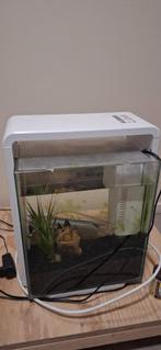 Aquarium Superfish Home 25XL wit, Dieren en Toebehoren, Vissen | Aquaria en Toebehoren, Ophalen, Zo goed als nieuw, Leeg aquarium