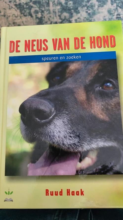 Ruud Haak - De neus van de hond, Boeken, Dieren en Huisdieren, Zo goed als nieuw, Honden, Ophalen of Verzenden