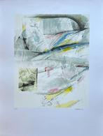 Zeefdruk Leo Musch, Antiek en Kunst, Kunst | Litho's en Zeefdrukken, Verzenden