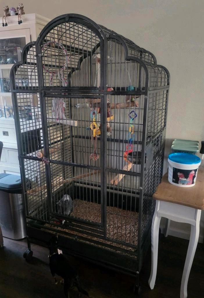 Strong Villa Emma Papagaaienkooi Ara kooi vogelkooi, Dieren en Toebehoren, Vogels | Hokken en Kooien, Gebruikt, Vogelkooi, Metaal