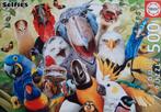 Educa Puzzel 500 stukjes - Vogels Selfies, Ophalen of Verzenden, 500 t/m 1500 stukjes, Zo goed als nieuw, Legpuzzel