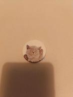 Popsockets kat, Ophalen of Verzenden, Nieuw