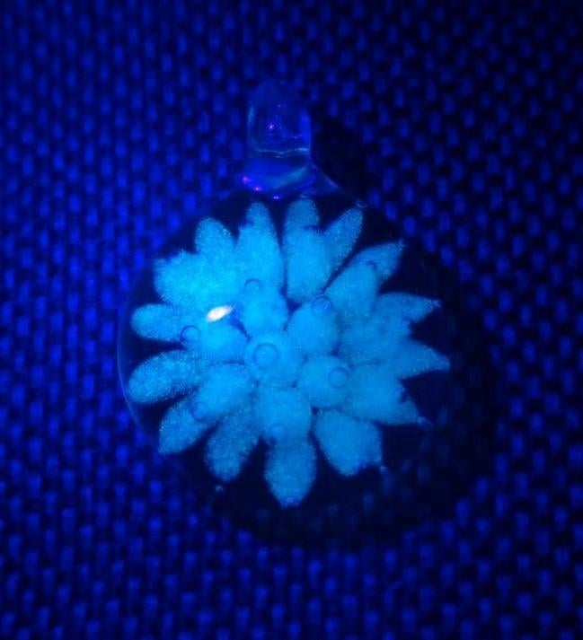 Glow in the Dark Glashanger - Eyecatcher!, Ophalen of Verzenden, Nieuw, Hanger