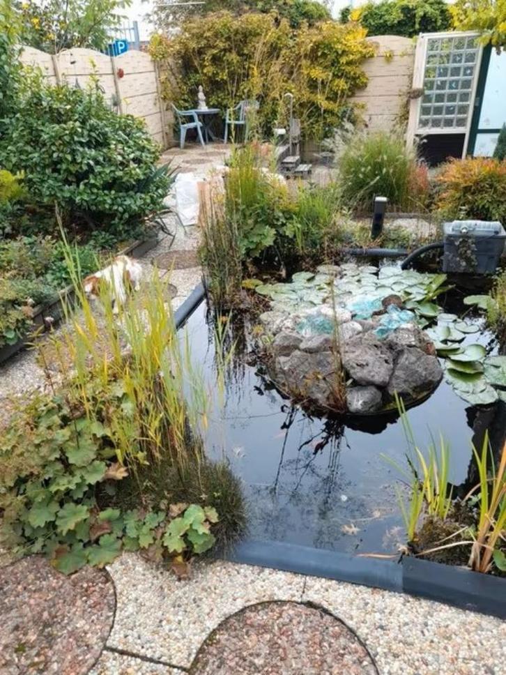 Vijver toebehoren, Tuin en Terras, Vijver-toebehoren, Gebruikt, Ophalen