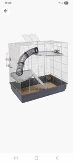 Gratis af te halen: grote rattenkooi L80xB50xH70, Dieren en Toebehoren, Ophalen of Verzenden, Gebruikt, 75 tot 110 cm, 60 tot 90 cm