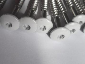 50-100 Trespa schroeven rvs licht grijs 4,8 X 38 mm ral 7035 beschikbaar voor biedingen