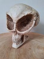 Vintage Aliën skull lifesize, Ophalen of Verzenden