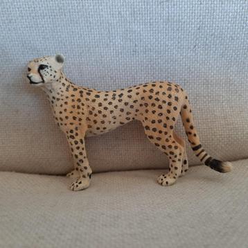 Schleich Wild Life Jachtluipaard Cheetah - 50020 - nieuw - beschikbaar voor biedingen