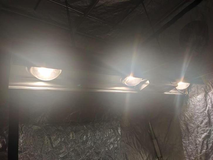 LED groeilampen armaturen growlights 240W, Tuin en Terras, Kweekspullen, Nieuw, Kweeklamp, Ophalen of Verzenden