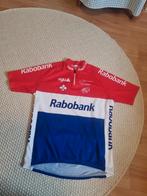 Rabobank Erik Dekker Wielershirt Maat xl vintage 2000? Nl, Gebruikt, Agu, M, Ophalen of Verzenden