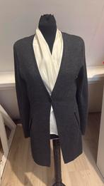 S’nob luxe vest wol maat 38, Kleding | Dames, Ophalen of Verzenden, Zo goed als nieuw, Maat 38/40 (M), Grijs