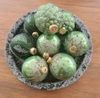 8 Intratuin Kerstballen - Groen, Ophalen of Verzenden, Zo goed als nieuw