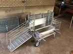 Bekapbox behandelbox, Dieren en Toebehoren, Schapen, Geiten en Varkens, Vrouwelijk, Schaap