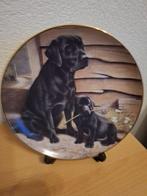 Sier wandbord Zo vader zo Zoon LABRADOR, Verzamelen, Beelden en Beeldjes, Ophalen, Zo goed als nieuw, Dier