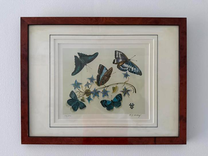 Litho 12/50 van Hans Verhoef, Antiek en Kunst, Kunst | Litho's en Zeefdrukken, Ophalen of Verzenden