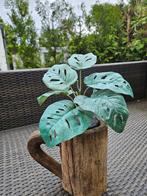 kunstplanten met houten bierpul, Ophalen of Verzenden, Zomer, Klimplanten, Volle zon