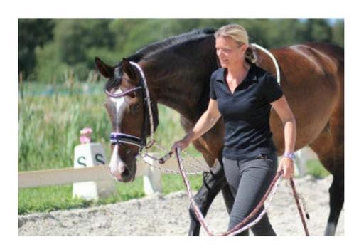 Concord Leader / Concord Longe, Dieren en Toebehoren, Paarden en Pony's | Verzorgingsproducten, Nieuw, Ophalen of Verzenden