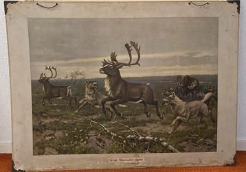 Oude schoolplaat -In de Siberische vlakte MA Koekkoek beschikbaar voor biedingen