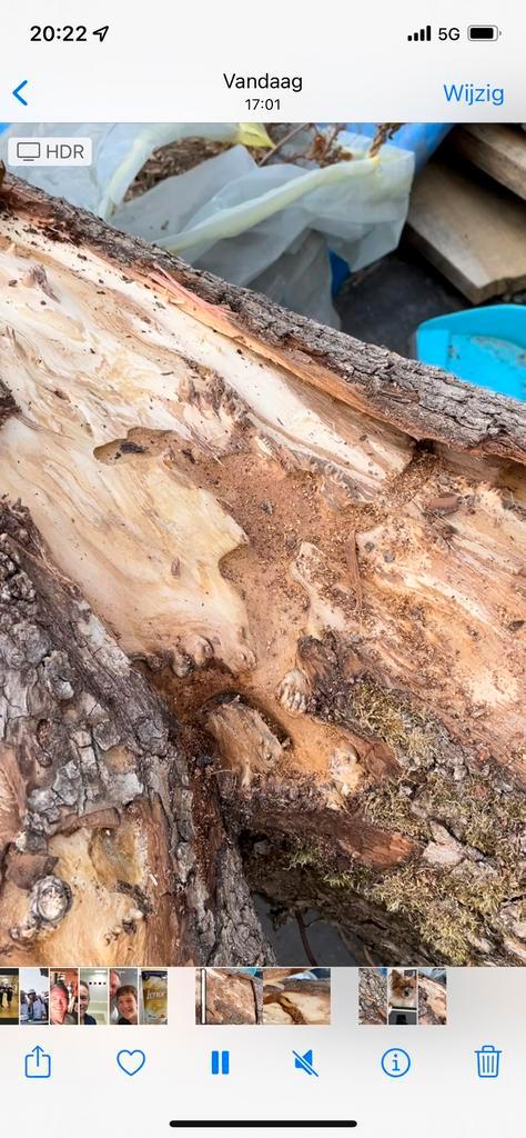 Gezocht., Doe-het-zelf en Verbouw, Hout en Planken, Overige houtsoorten, Minder dan 200 cm, Minder dan 25 mm, Ophalen