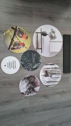 Muurcirkels set, Ophalen of Verzenden, Zo goed als nieuw