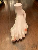 Antiek Anatomisch Voetmodel, Ophalen of Verzenden