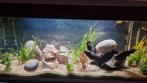 1 meter bak custom made, Dieren en Toebehoren, Vissen | Aquaria en Toebehoren, Ophalen, Zo goed als nieuw