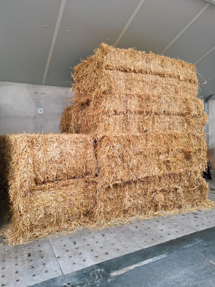 Grote pakken stro, tarwestro, Dieren en Toebehoren, Dierenvoeding, Vee, Ophalen