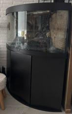 Juwel trigom 350L, Dieren en Toebehoren, Ophalen, Gebruikt, Leeg aquarium