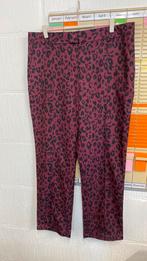 Nieuw moooe broek maat XL merk My Jewellery, Maat 46/48 (XL) of groter, Nieuw, Ophalen of Verzenden, Lang