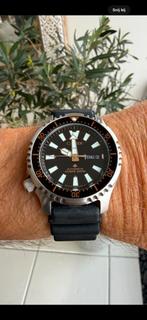 Citizen Aqualand Promaster Limited Edition Full Set, Sieraden, Tassen en Uiterlijk, Horloges | Heren, Staal, Staal, Nieuw, Ophalen of Verzenden