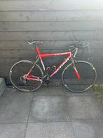 Sensa Calabria, Fietsen en Brommers, Fietsen | Racefietsen, Overige merken, Heren, Ophalen of Verzenden, Zo goed als nieuw