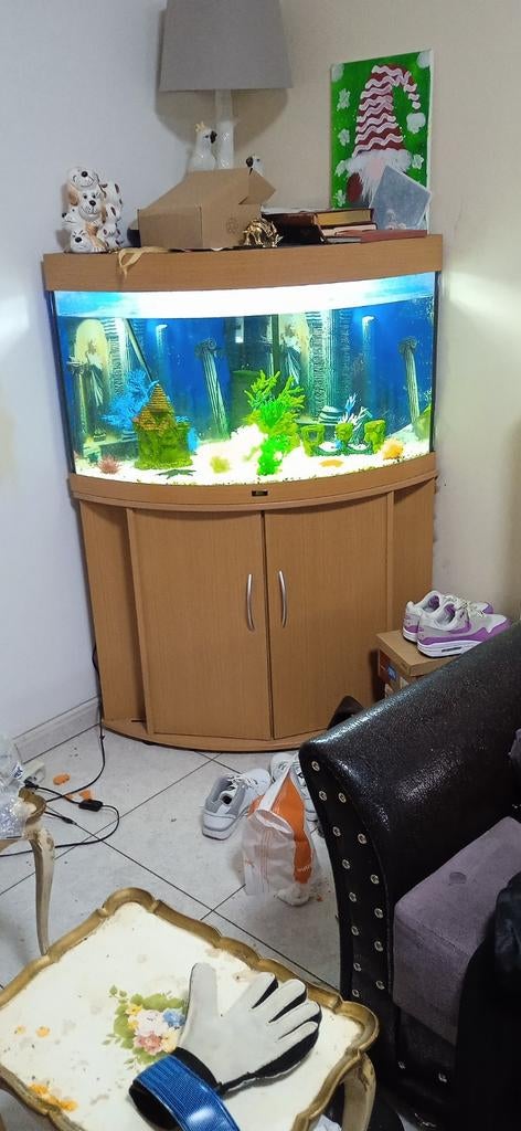 Aquarium + last, Ophalen of Verzenden, Zo goed als nieuw