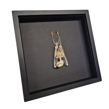 HALLOWEEN! Tot 20% korting op diverse artikelen! beschikbaar voor biedingen