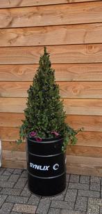 PLANTENBAK KERSTBOOM BLOEMBAK BLOEMPOT BRANDSTOFOPSLAG, NVT, Tuin, Minder dan 60 cm, Rond