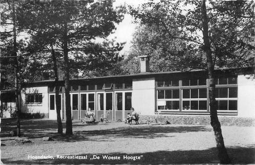 (387-165-045) Hoenderloo De Woeste Hoogte, Verzamelen, Ansichtkaarten | Nederland, Gelderland, Verzenden