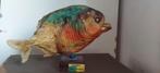 Vintage jaren 80 Taxodermie opgezette Piranha, Ophalen of Verzenden