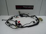 Kabelboom / Wire Harness Honda CBR600FI / CBR600F 2001-2002, Gebruikt, -, -, Ophalen of Verzenden