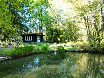 Uniek natuurperceel (3741 m²) met vakantiehuisje in België beschikbaar voor biedingen